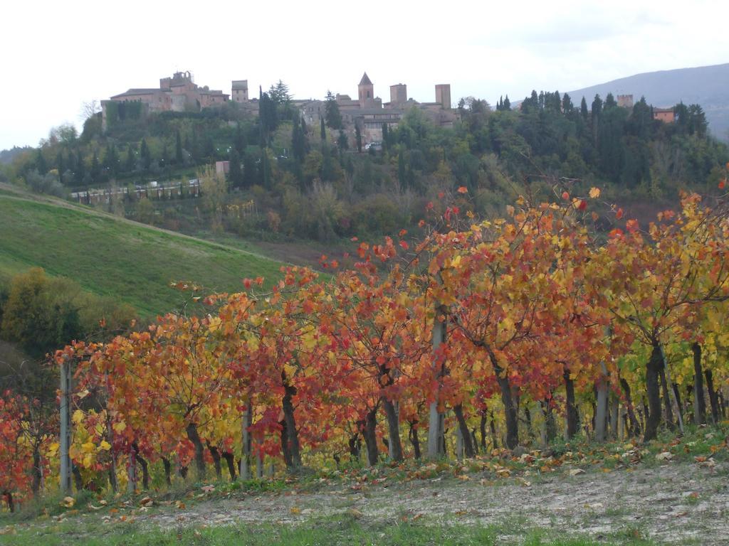 Agriturismo Il Torrione Villa Certaldo Bagian luar foto