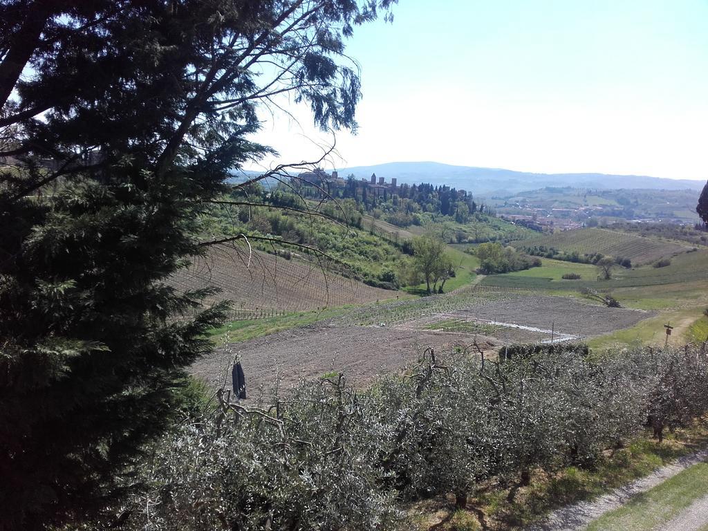 Agriturismo Il Torrione Villa Certaldo Bagian luar foto