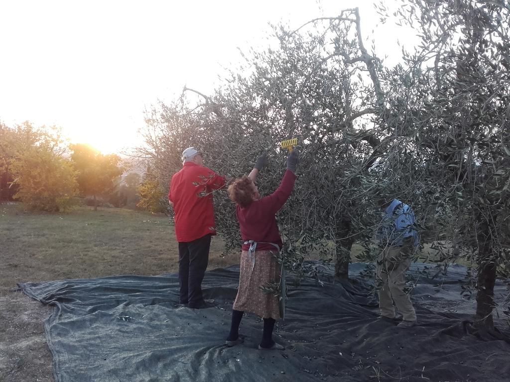 Agriturismo Il Torrione Villa Certaldo Bagian luar foto