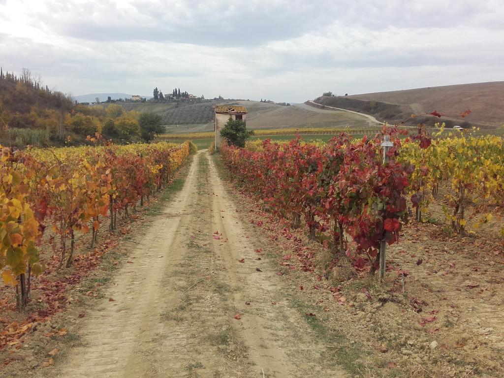 Agriturismo Il Torrione Villa Certaldo Bagian luar foto