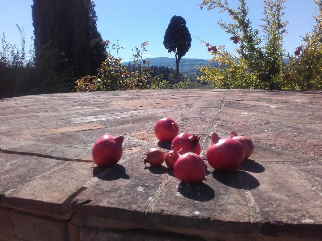 Agriturismo Il Torrione Villa Certaldo Bagian luar foto