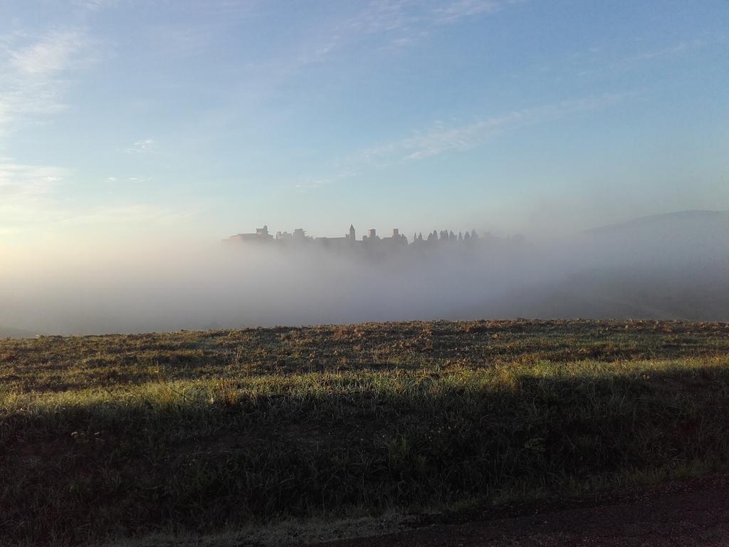 Agriturismo Il Torrione Villa Certaldo Bagian luar foto