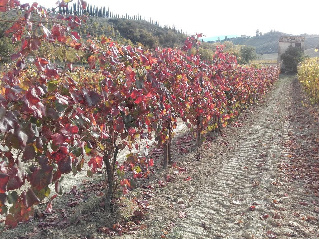 Agriturismo Il Torrione Villa Certaldo Bagian luar foto