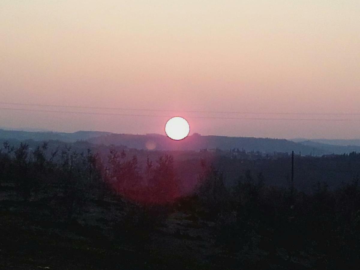 Agriturismo Il Torrione Villa Certaldo Bagian luar foto