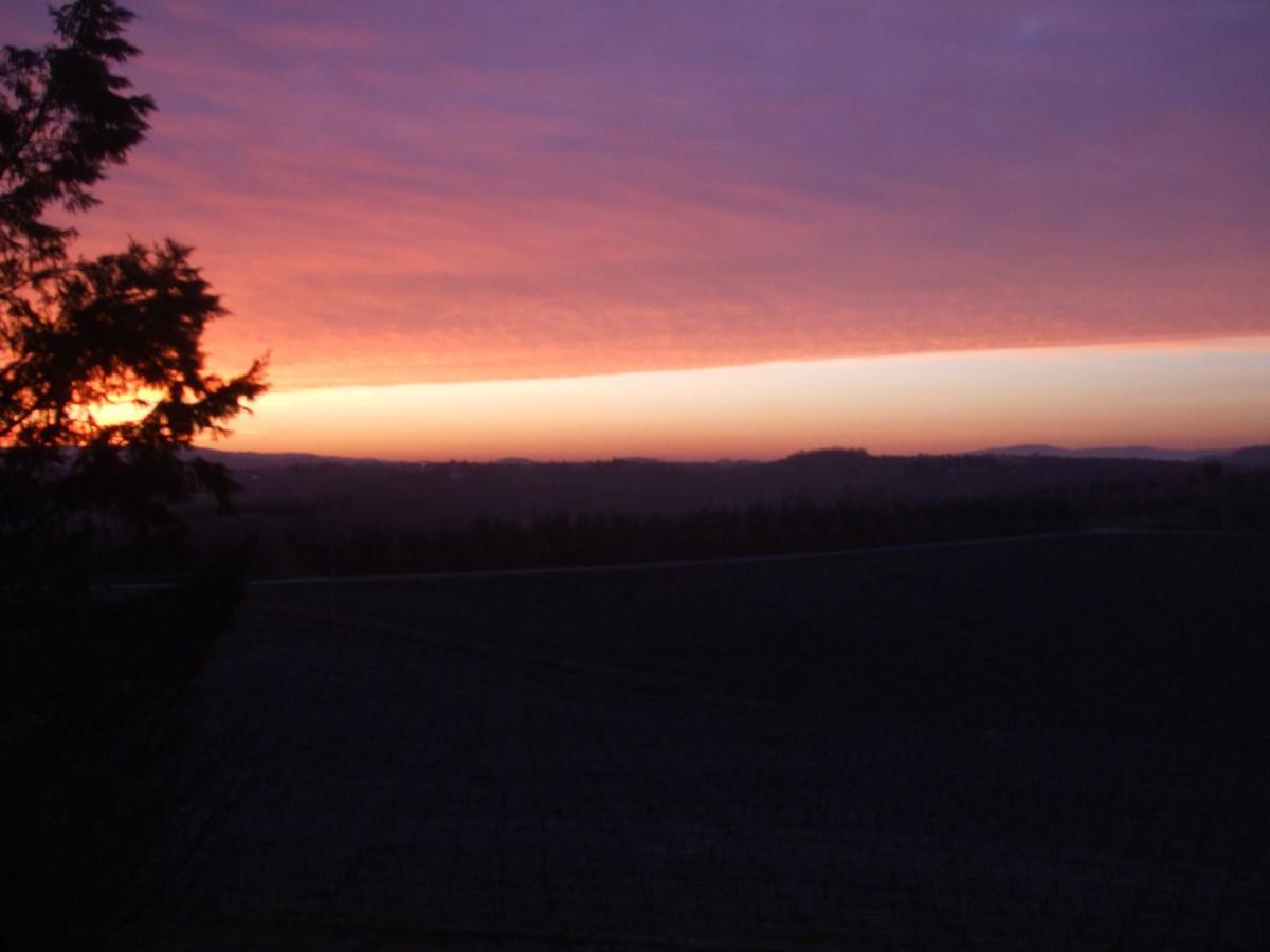 Agriturismo Il Torrione Villa Certaldo Ruang foto